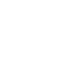CEBRS